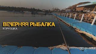 Вечерняя рыбалка на корюшку и ее приготовление | Морская рыбалка | Evening fishing & Cooking