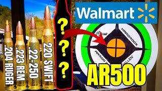 Can I Shoot Holes in WalMart AR500???