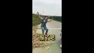 看你以后还这样嚣张不。#郑燕视频 #看一遍笑一遍 #看完不笑算我输