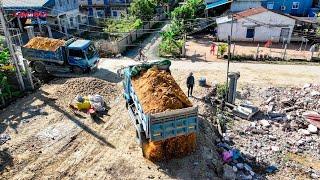 First start New Project complete100% Landfilling by 5T Dump truck with Dozer D20P pushing Soil clear