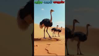 The Thirsty Ostrich and the Missing #shorts #viralstory