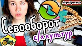 Что такое севооборот — примеры севооборотов