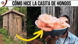  Te cuento CÓMO HICE la CASITA o CASETA para PRODUCIR HONGOS COMESTIBLES en CASA.