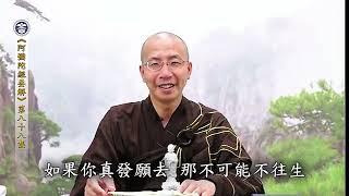 阿彌陀經要解 88 定弘法師【字幕】