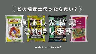 どの培養土使う？1年育成した結果これにします (カインズ/花ごころ/ハイポネックス/アイリス)多肉植物 | エケベリア | セダム | ガーデニング