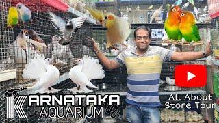 Karnataka Aquarium Store Tour | Bangalore Pigeon Market | All Types Of Birds, Rabbits, Guinea Pig