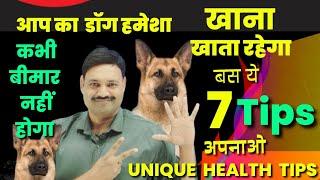 7 health tips for dogs