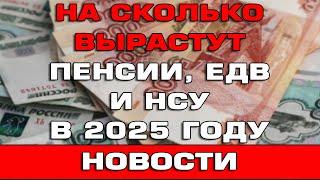 На сколько вырастут Пенсии ЕДВ и НСУ в 2025 году Новости