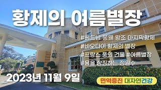 바오다이 황제의 여름별장, 베트남 응웬왕조의 마지막 황제 여름별장. 세련된 프랑스풍의 25개의 방을 가졌으며  원형이 잘 보관되어 현재는 보수공사를 통해 호텔로 사용 23.11.9