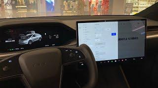 Tesla Model X Plaid Interaction and Music Playback Experience