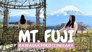 MOUNT FUJI JAPAN | Hiring a car, things to do and places to eat in Fujikawaguchiko (Japan Vlog)