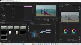 Pre wedding S log footage Free luts in premiere pro