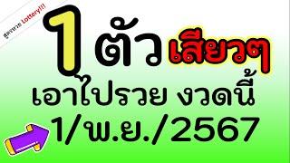 จัดไป ! 1 เลข เน้นๆ เอาไปรวย งวด นี้ วันที่ 1/พ.ย./2567