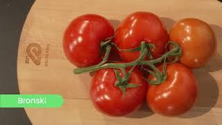 Bronski - Large Cluster tomato - Enza Zaden