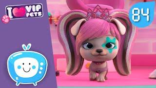 GLAMOUR VIP PETS  NEW Collection  Full Episodes  CARTOONS for KIDS in ENGLISH