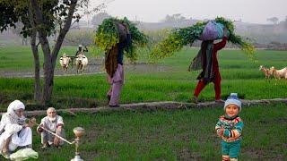 Most Beautiful Village Life in Punjab Pakistan||Daily Routine work in Village||Full Dasi Mahol