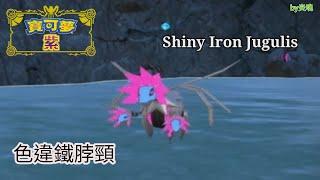 Pokémon Violet - Shiny Iron Jugulis catch！捕捉色違鐵脖頸！by炎魂