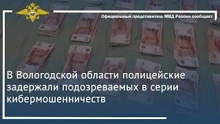 Ирина Волк: В Вологодской области полицейские задержали подозреваемых в серии кибермошенничеств