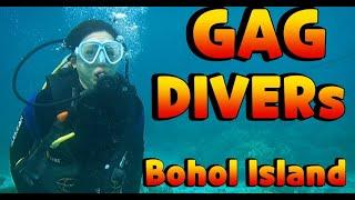 필리핀 보홀 스쿠버 다이빙. 체크 다이빙 GAG DIVERs SCUBA TEAM.