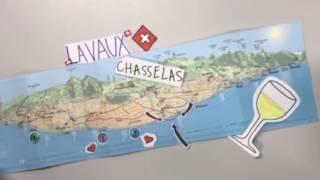 Chasselas- Lavaux, Switzerland