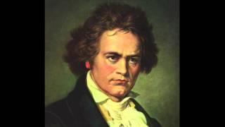 Beethoven - Symphony No. 5, 1st movement