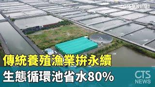 傳統養殖漁業拚永續　生態循環池省水80%｜企業永續ESG｜華視新聞 20230708