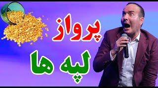 حسن ریوندی - پرواز لپه ها و مرغ ها در مهمانی | Hasan Reyvandi - Concert 2024