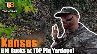 Kansas Bowhunting - Bucks at Top Pin Yardage!