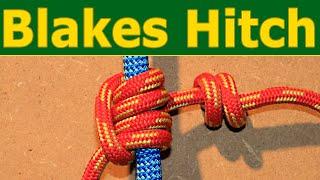 Blakes hitch knot - SRT climbing with the tree climbing classic