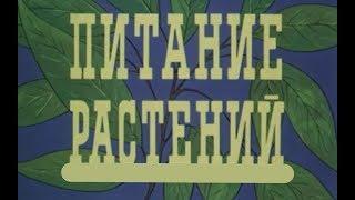 Питание растений