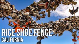 Thousands of Shoes in the Desert? The Bizarre Rice Shoe Fence Explained!