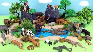 Asian Animal Figurines in a Safari Habitat Set - Fun Facts for Kids