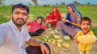 आज मज़ा आ गया खेत में Fruits and sabji mil gaye khet me  - Farm at Rajasthan, India