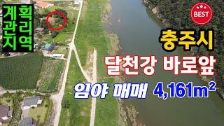 [매물번호-1259] 충주토지매매 강변토지 / 달천강 바로앞 1열직관 임야매매 / 4,161m² 계획관리지역 / 주택, 펜션, 근생 건축가능 / 충주시 토지 땅 임야 농지 매매