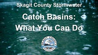 Catch Basins: What You Can Do