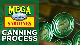 The Canning Process | How Sardines Are Made | The Mega Global Story