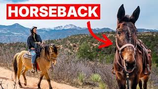 Exploring Garden of the Gods by Horseback!