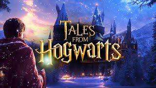 Magical Tales From Hogwarts: 3 Cozy Harry Potter Sleep Stories & Relaxing Ambience