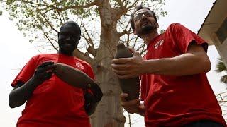 Baobab: Frucht mit heilender Wirkung