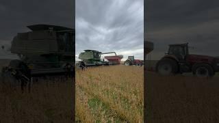 Soil is life #soilhealth #soybean #regenerativeagriculture #life #biology #harvest #farming #clouds