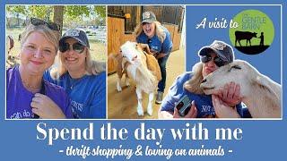 Spend the day THRIFT SHOPPING with me + a visit to The Gentle Barn | Let's go LOVE on some animals