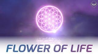 The Flower of Life: Meditation Music - Theta - 528hz