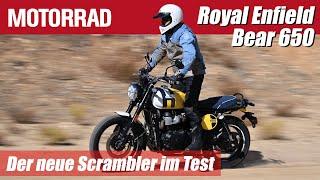 Die NEUE Royal Enfield Interceptor Bear 650 im ersten Test: was taugt der neue Scrambler wirklich?