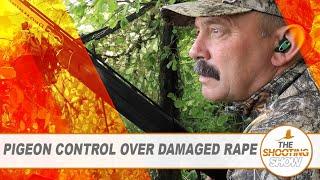 The Shooting Show - Rabbiting with a rimfire and pigeon control over rape