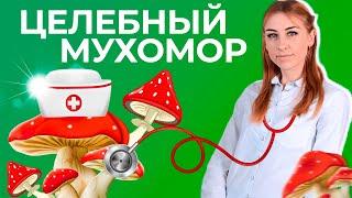 7 Серьезных Болезней Которые ЛЕЧИТ МУХОМОР  Мухомор для Здоровья