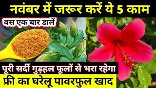 HIBISCUS PLANT CARE.5 Hibiscus plant growing tips.गुडहल का फूल.Gudhal.गुडहल.Plant care tips. Plants.