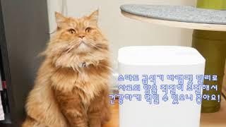 [협찬] 역대급으로 똑똑한 고양이 자동급식기, 바램펫 밀리!