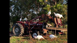 Solace Farms, Coalmont, TN