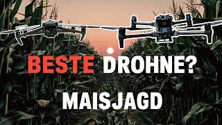 Die BESTE Drohne für die Maisjagd? DJI Mavic 3 Thermal vs Matrice 30T im Vergleich über dem Mais!