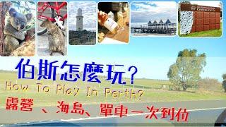 伯斯怎麼玩?  海島單車、品酒、動物近距離的鄉村之旅Let's GO~!   Play in Perth, Play in Australia